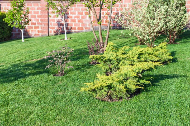Sloped Yard Leveling