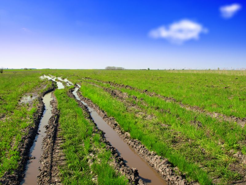 Sloped Yard Leveling